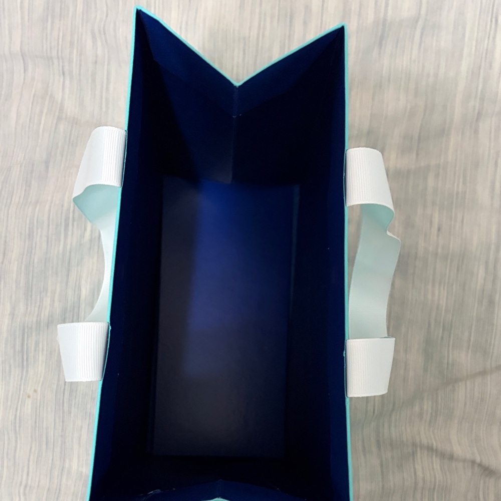 Tiffany & Co. Robin's Egg Blue Gift Bag with White Ribbon - Picture 5 of 5